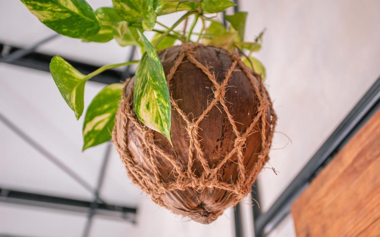 Tranquil Nest Vaavu Hotel Rakeedhoo Kültér fotó